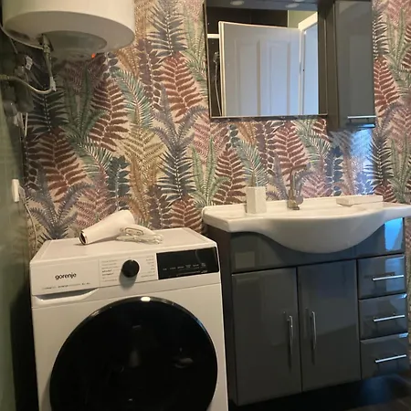 Michelangelo Netflix Eisenach